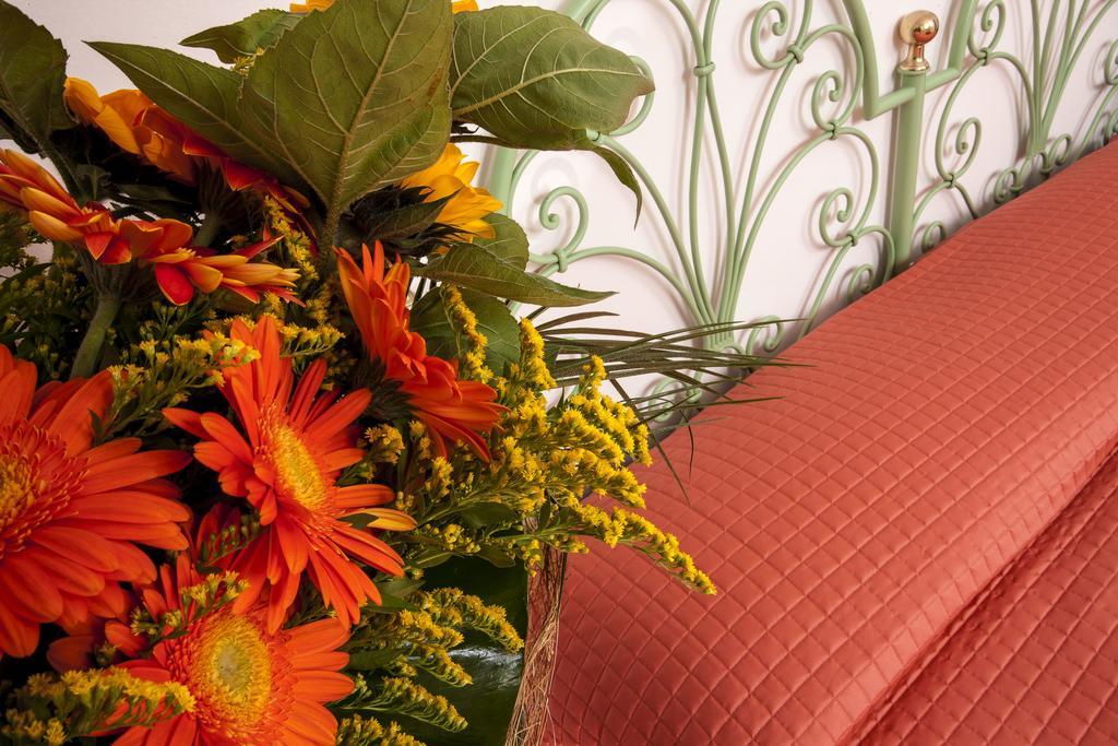 Hotel Rosy Cattolica